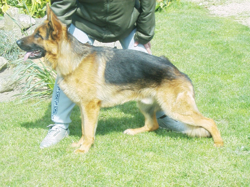 Aïko Du domaine du parc