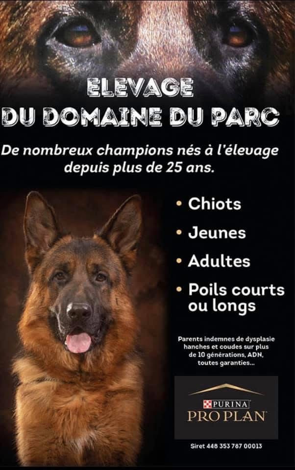 Du domaine du parc - À vendre Ruby